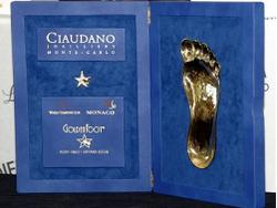 Стали известны имена номинантов на награду Golden Foot-2013
