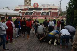Египетский «Аль-Ахли» зарезал быка на стадионе, чтобы прервать двухматчевую серию без побед