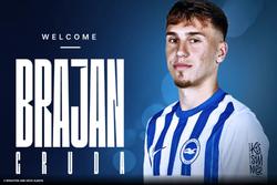 "Brighton sign German youth team striker