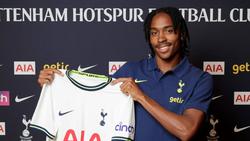 „Tottenham” podpisał kolejnego przybysza
