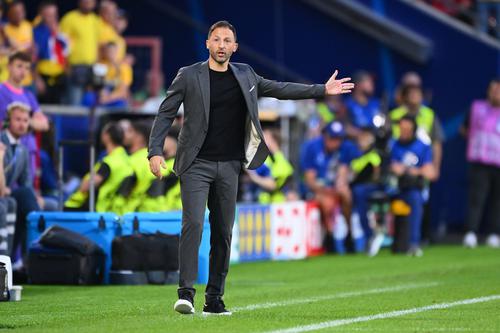 Belgium national team head coach Domenico Tedesco: “We know their players, we know how to play against the Ukrainian national te