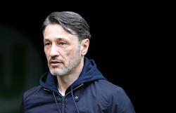 Niko Kovač is the favorite for the position of head coach of Borussia Dortmund